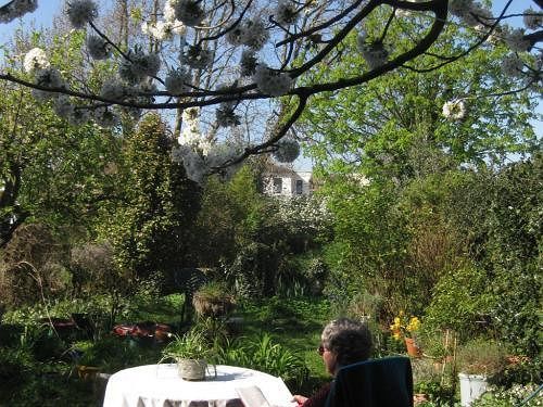 Grove Guest House London Exterior foto